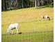 316A Ridge Road, Central Tilba NSW 2546