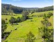 316A Ridge Road, Central Tilba NSW 2546