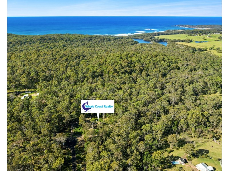 37 Collett Place, Meringo NSW 2537
