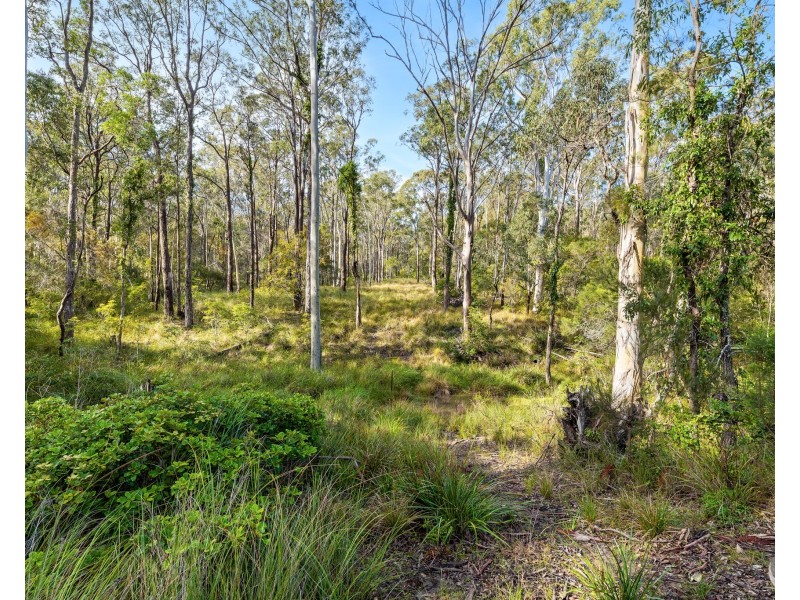 37 Collett Place, Meringo NSW 2537