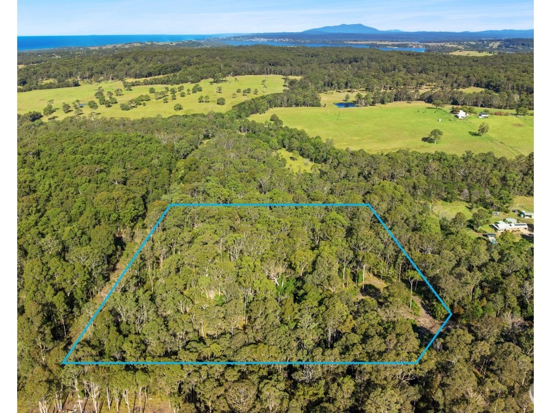 37 Collett Place, Meringo NSW 2537