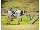 149 Eurobodalla Road, Bodalla NSW 2545