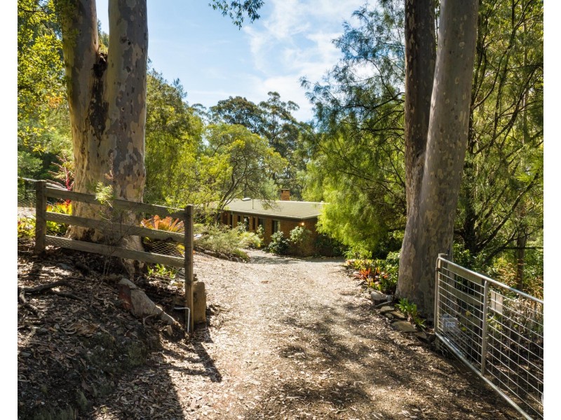 54 Tebbs Road, Narooma NSW 2546