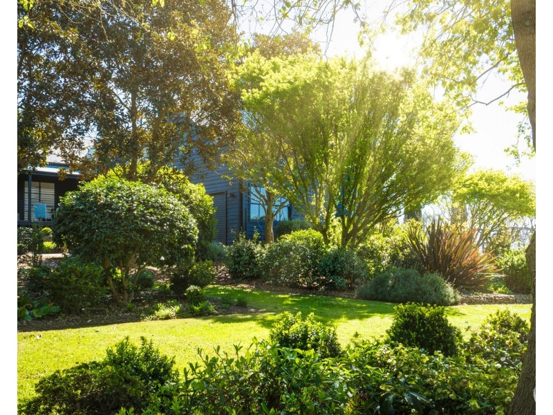 59 Princes Highway, Bodalla NSW 2545