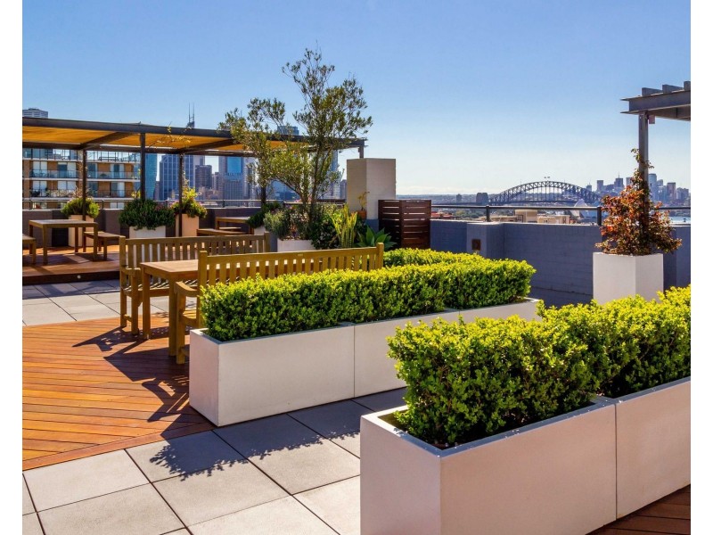 42/117 Macleay Street, Potts Point NSW 2011