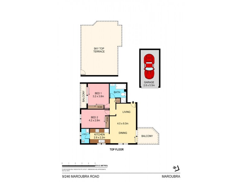 9/246 Maroubra Road, Maroubra NSW 2035 Floorplan