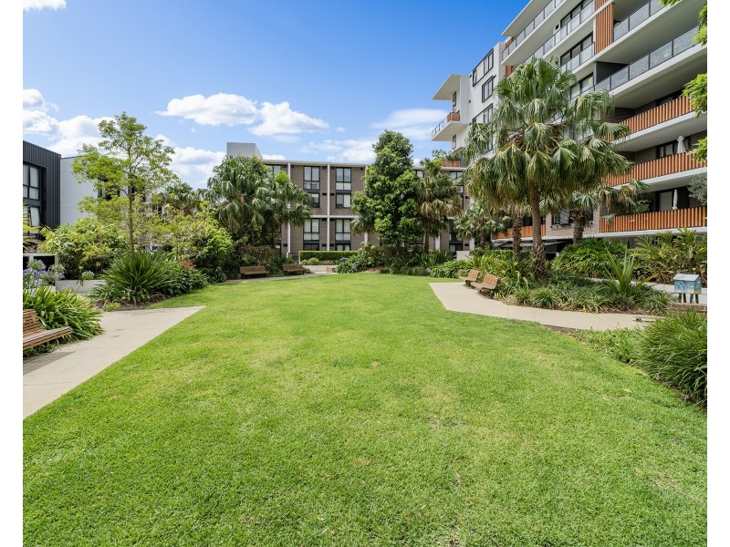 4103/50 Pemberton Street, Botany NSW 2019