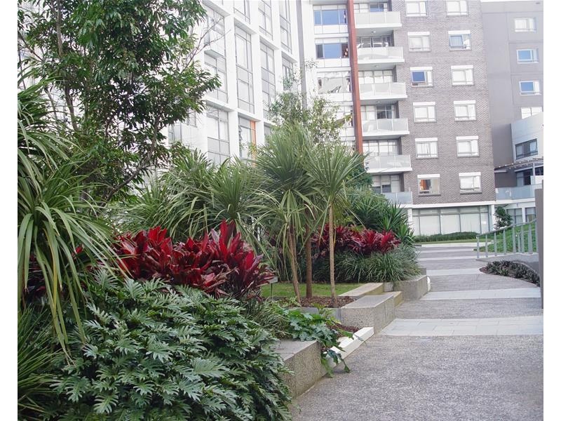 608/747 Anzac Parade, Maroubra NSW 2035