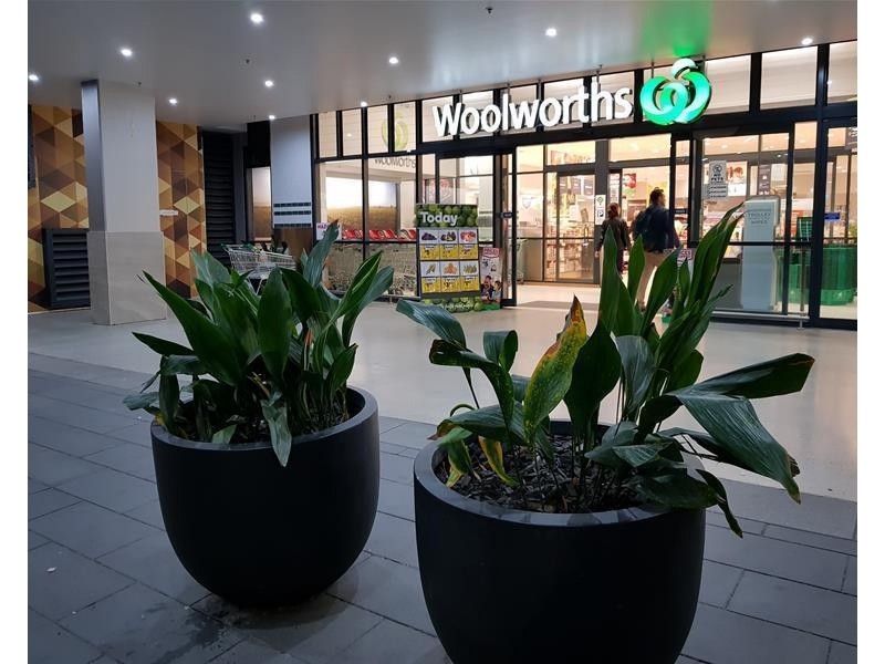 102/220 Coward Street, Mascot NSW 2020