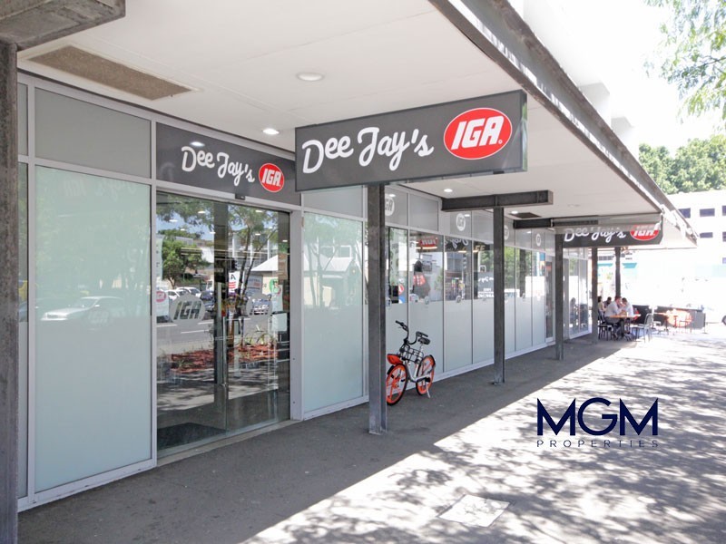 M33/1A Mandible Street, Alexandria NSW 2015