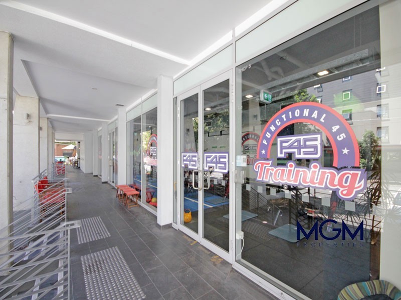 M33/1A Mandible Street, Alexandria NSW 2015