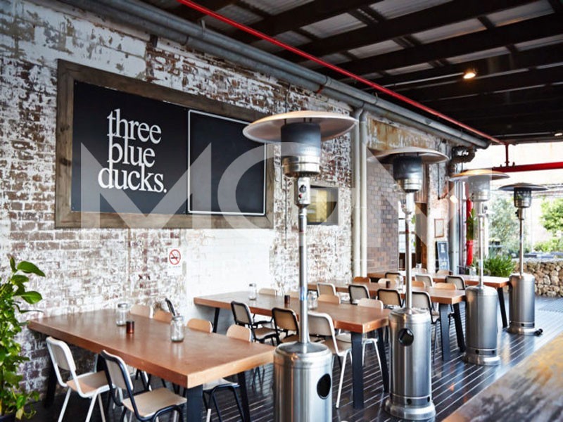 32 Morley Avenue, Rosebery NSW 2018