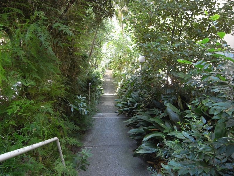 12/766 New South Head Rd, Rose Bay NSW 2029