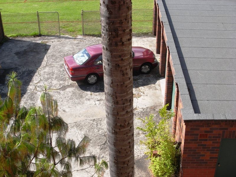 5/6 Manion Ave, Rose Bay NSW 2029