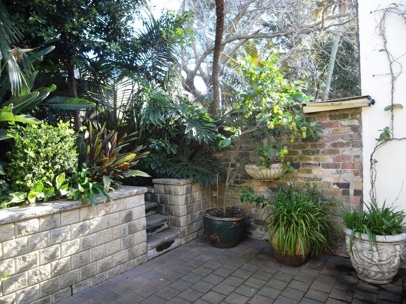 33 Dudley Street, Paddington NSW 2021