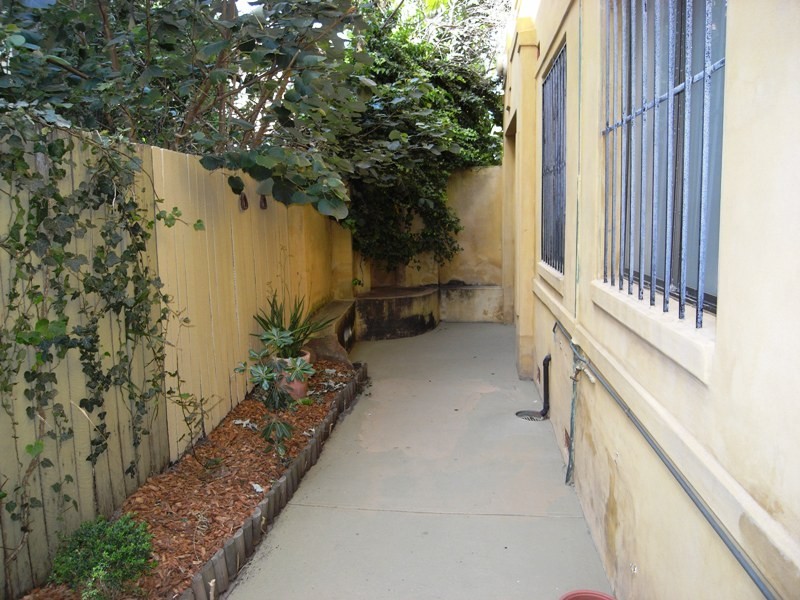 6/52  Gould Street, Bondi NSW 2026