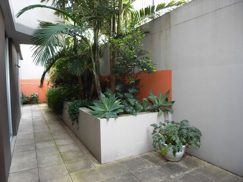 3/68-76 Wentworth Street, Randwick NSW 2031