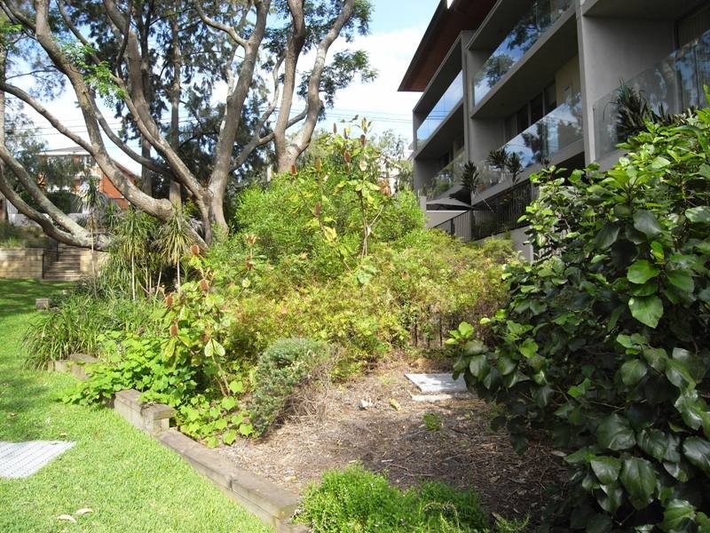 3/ 68-76 Wentworth St, Randwick NSW 2031