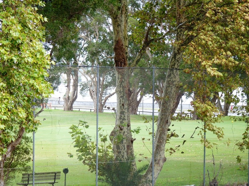 5/5 Elanora Street, Rose Bay NSW 2029