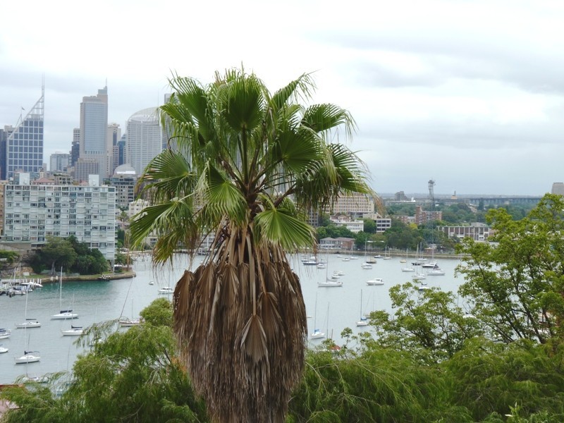 29/52 Darling Point Road, Darling Point NSW 2027