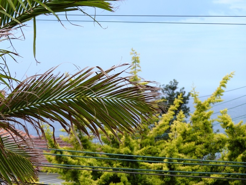 340 Military Rd, Vaucluse NSW 2030