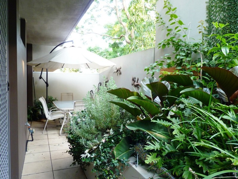 3 / 68 -76 Wentworth Street., Randwick NSW 2031