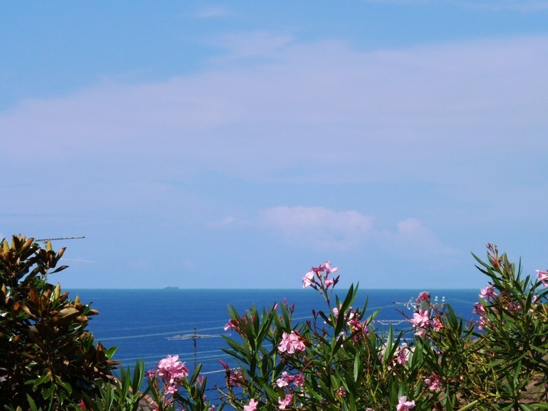 6/2-12 Andrews Ave, Bondi Beach NSW 2026