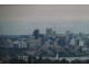 1203/1 Hollywood.Avenue, Bondi Junction NSW 2022