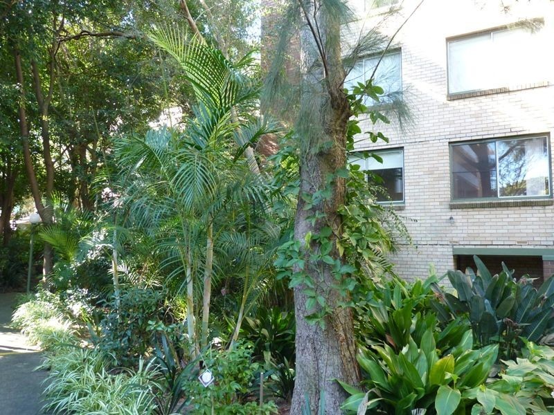 21/745 Old South Head Rd, Vaucluse NSW 2030