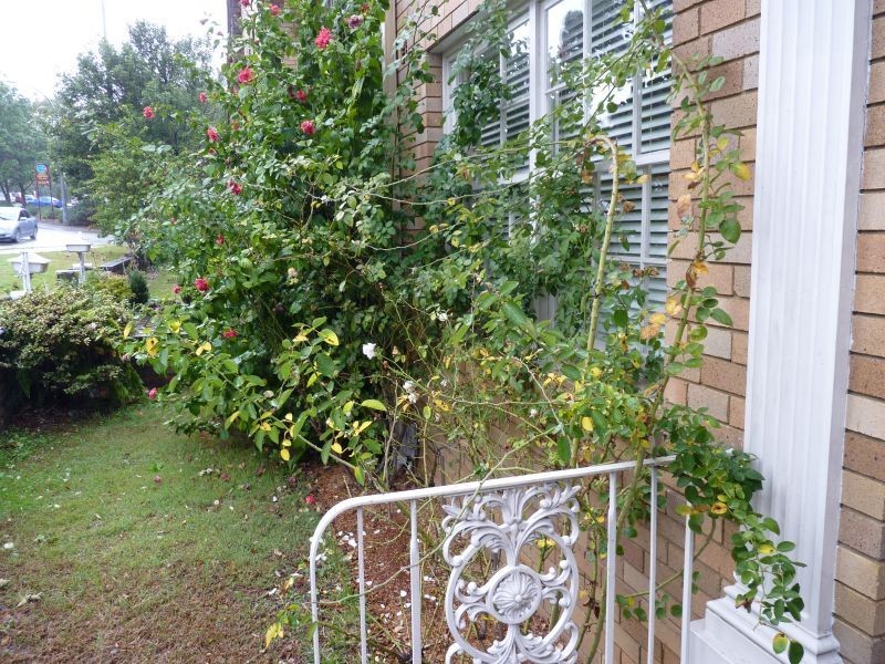 5/2 Oatley Pde, Oatley NSW 2223