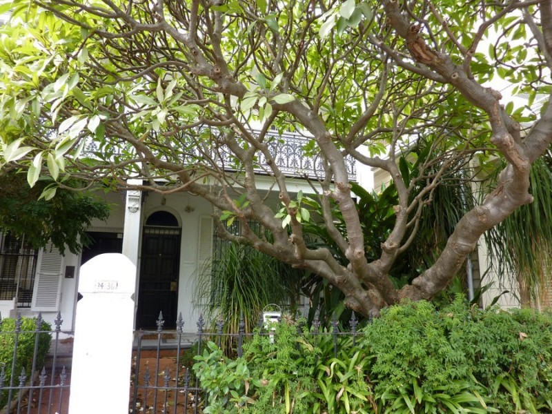 36 Victoria Street, Potts Point NSW 2011