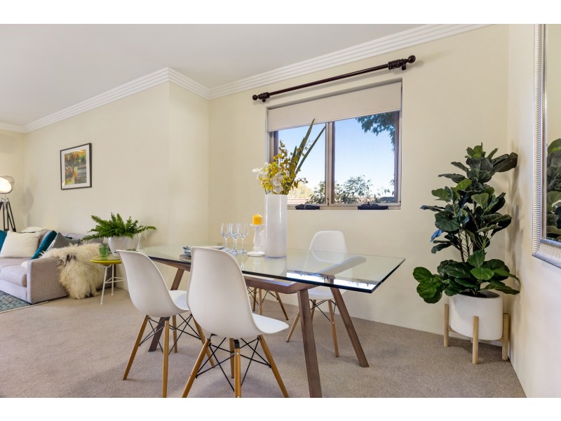 10/25 Birdwood Avenue, Lane Cove NSW 2066