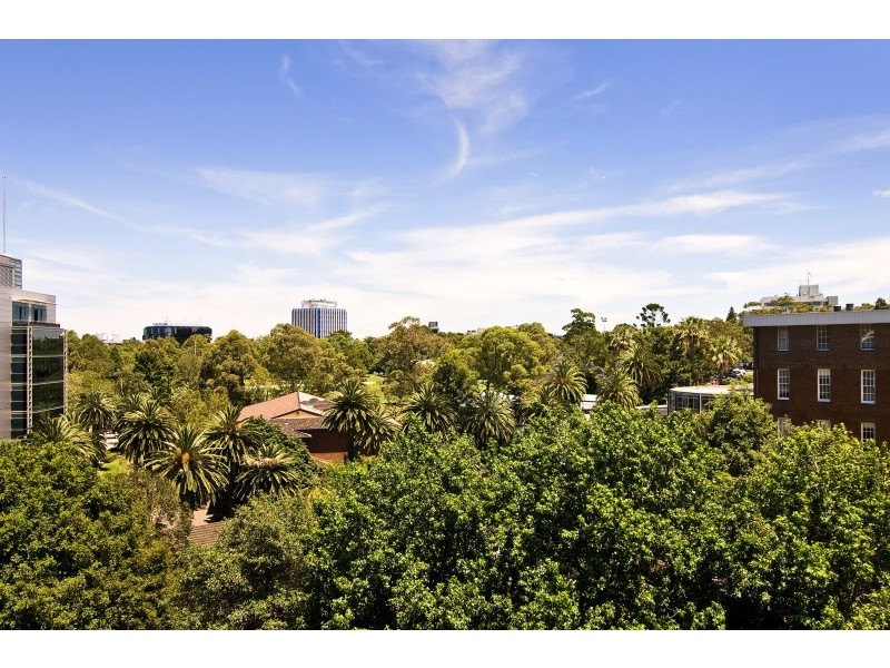 409/3 Herbert Street, St Leonards NSW 2065