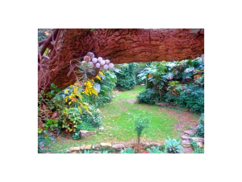 3/19 Ivy Street, Wollstonecraft NSW 2065