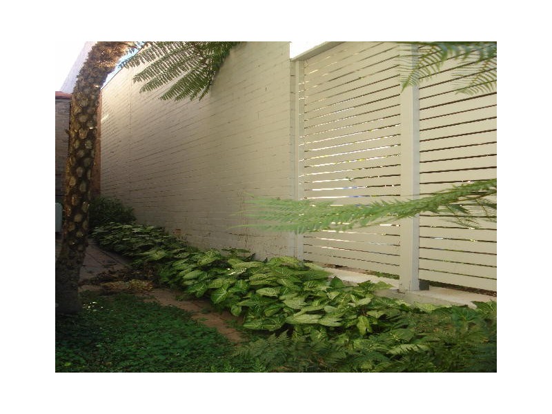 66 Albany Street, Crows Nest NSW 2065