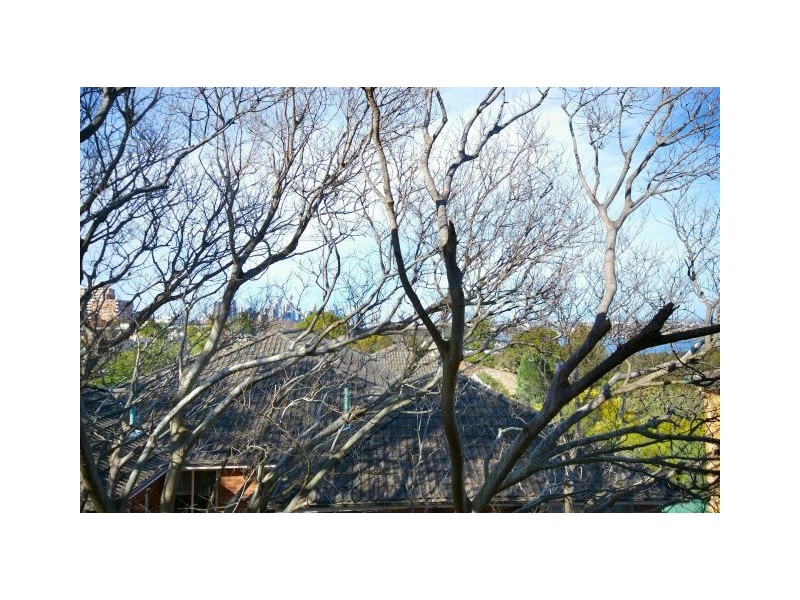 9/9 Belmont Avenue, Wollstonecraft NSW 2065