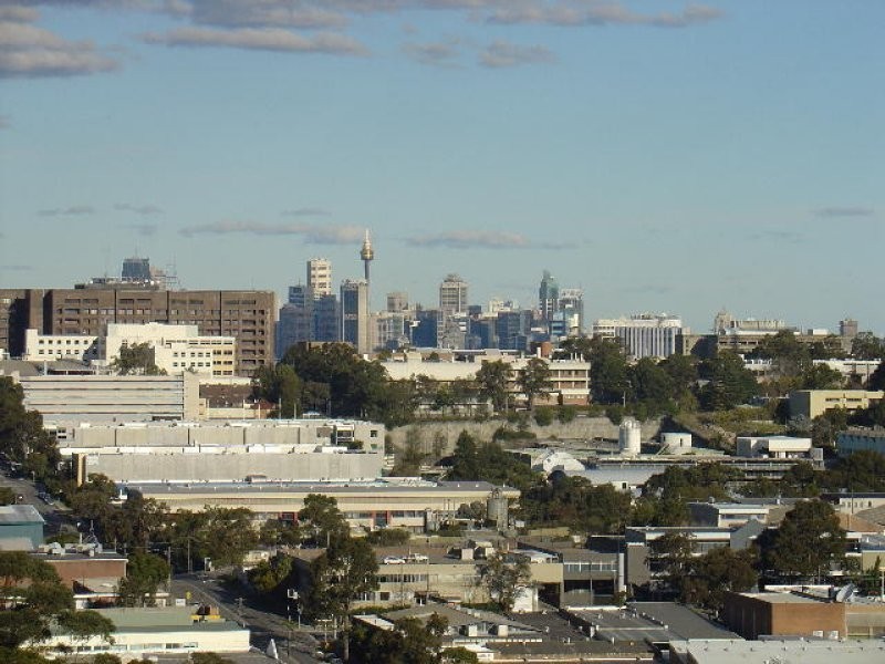 13A/3 Jersey Road, Artarmon NSW 2064