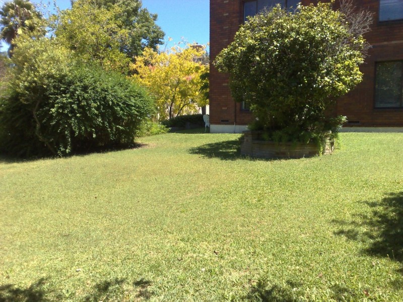 4/2  Elamang Avenue, Kirribilli NSW 2061