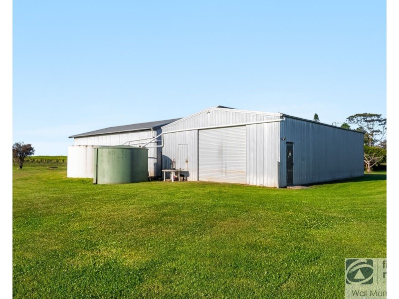 191 Riverbank Road, Pimlico NSW 2478