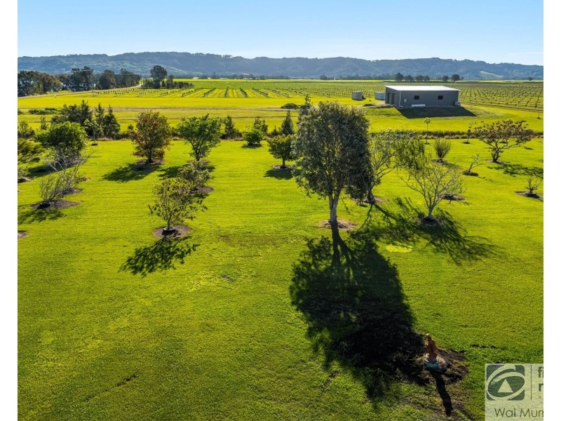 191 Riverbank Road, Pimlico NSW 2478