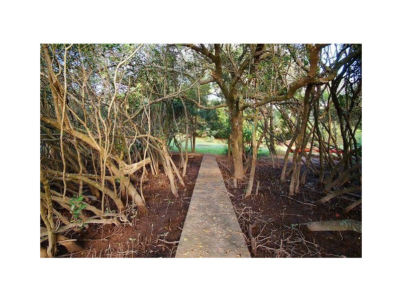 56 Old Pacific Hway, Raleigh NSW 2454