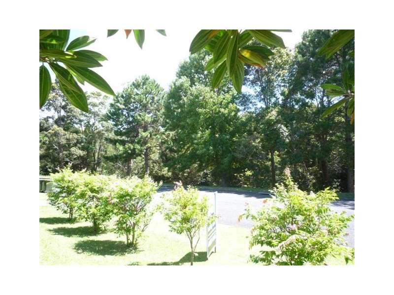 29 Jack Ladd Street, Coffs Harbour NSW 2450
