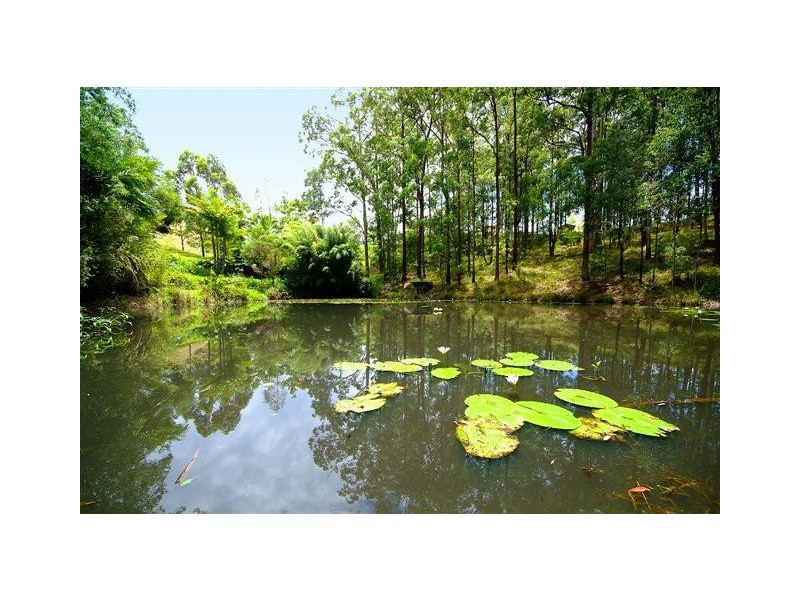 227 Newmans Road, Woolgoolga NSW 2456