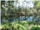 501c Dairyville Road, Upper Orara NSW 2450