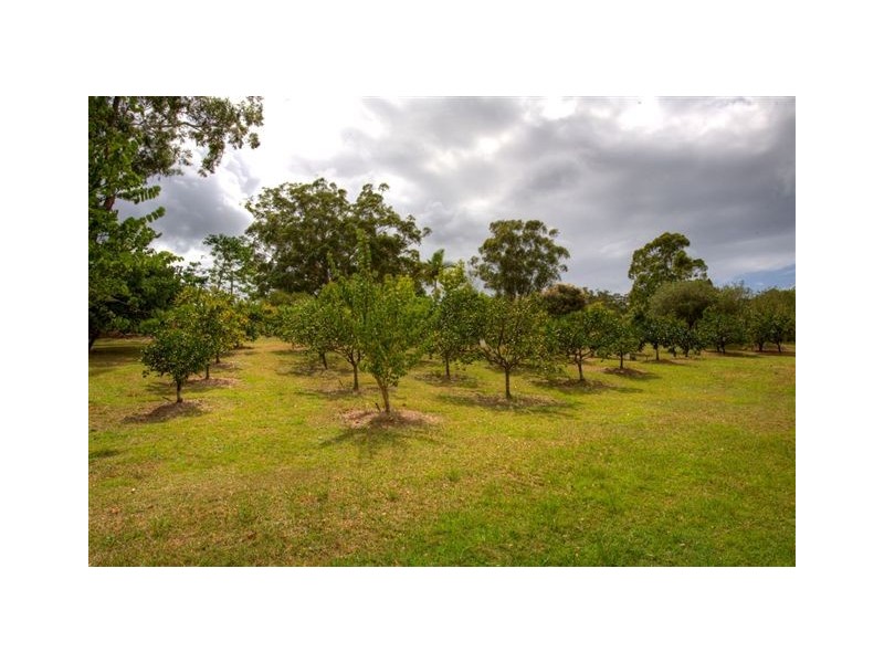 94 Lake Russell Drive, Emerald Beach NSW 2456