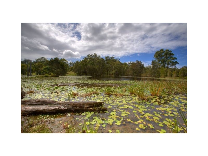 94 Lake Russell Drive, Emerald Beach NSW 2456