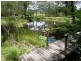 261 Lower Bo Bo Road, Ulong NSW 2450