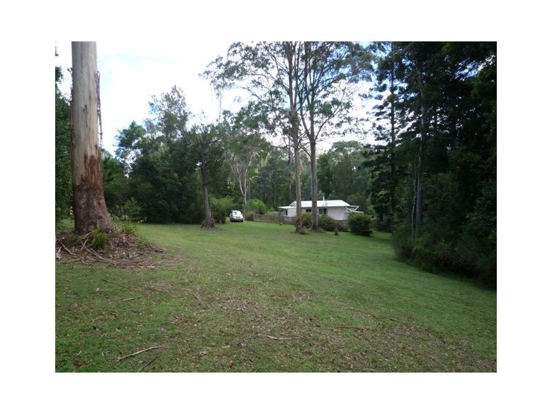 261 Lower Bo Bo Road, Ulong NSW 2450