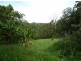 3a Daniels Road, Coramba NSW 2450