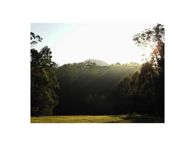 3a Daniels Road, Coramba NSW 2450
